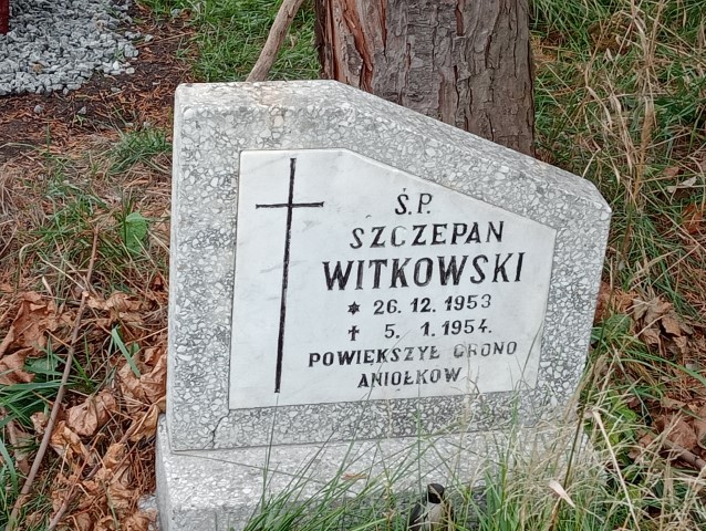 Szczepan Witkowski 1953 Wałbrzych - Grobonet - Wyszukiwarka osób pochowanych