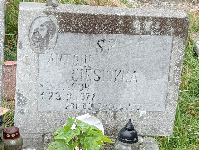 Antonui Ciesiołka 1894 Wałbrzych - Grobonet - Wyszukiwarka osób pochowanych