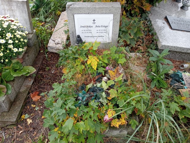 Grób Anita Eisinger