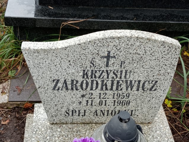 Krzysztof Zarodkiewicz 1959 Wałbrzych - Grobonet - Wyszukiwarka osób pochowanych