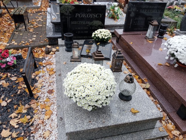 Grób Mieczysław Pokojski