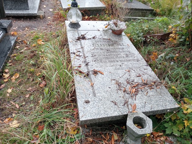 Grób Henryk Ehrligh