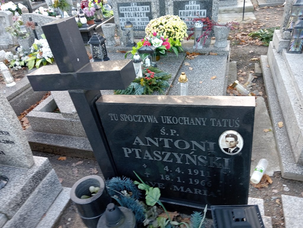 Antoni Ptaszyński 1911 Wałbrzych - Grobonet - Wyszukiwarka osób pochowanych