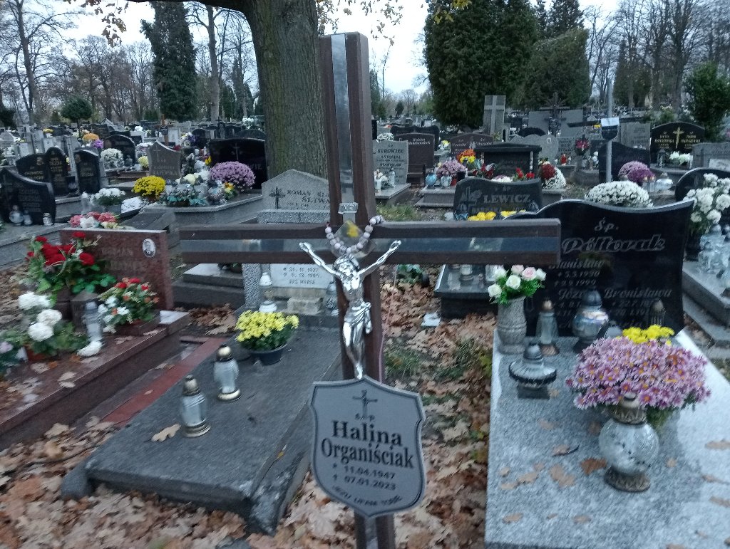 Halina Organiściak 1947 Wałbrzych - Grobonet - Wyszukiwarka osób pochowanych