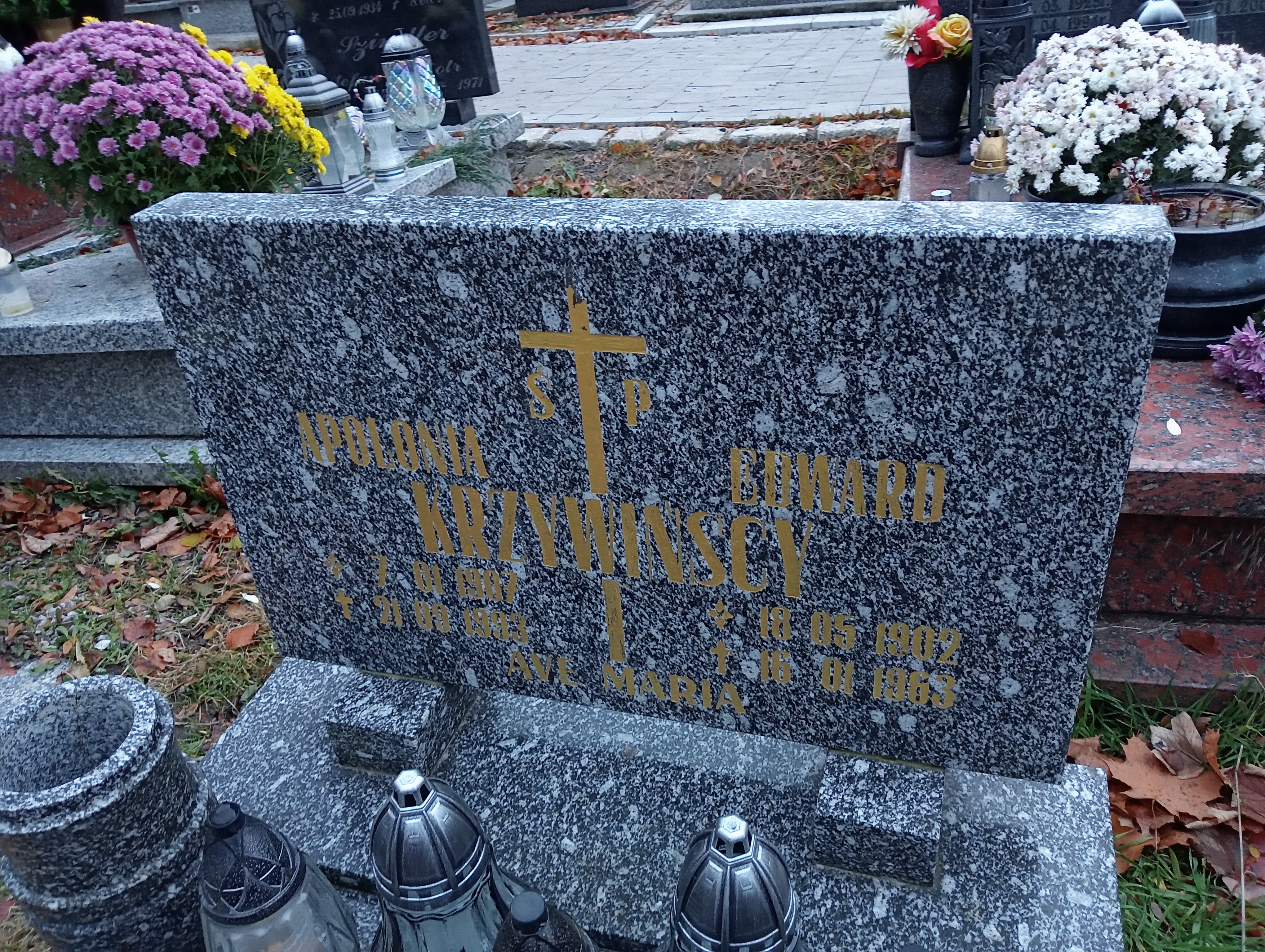 Apolonia Krzywińska 1907 Wałbrzych - Grobonet - Wyszukiwarka osób pochowanych