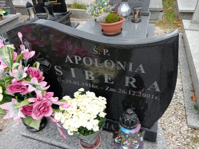 Apolonia Sibera 1916 Wałbrzych - Grobonet - Wyszukiwarka osób pochowanych