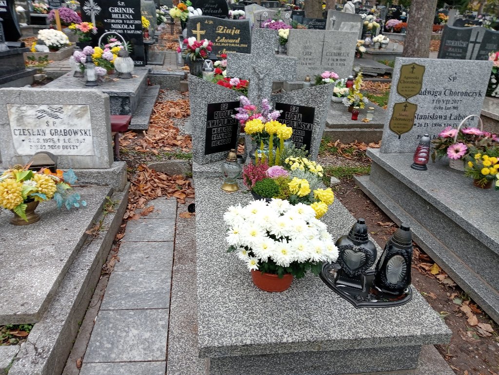 Grób Zofia Kwapulińska