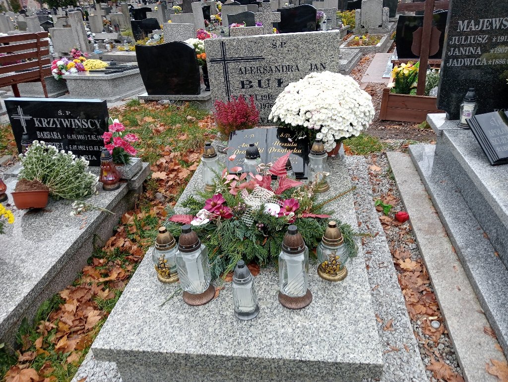 Grób Anatol Przytocki